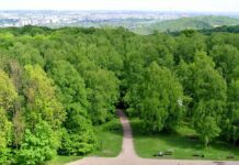 Las Wolski w Krakowie – największy naturalny park leśny w Polsce