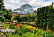 Historia Ogrodu Botanicznego Uniwersytetu Jagiellońskiego