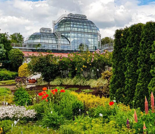Historia Ogrodu Botanicznego Uniwersytetu Jagiellońskiego