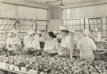 Helena Rubinstein – twórczynią kosmetyków i bizneswoman z Krakowa