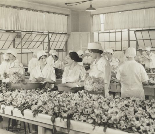 Helena Rubinstein – twórczynią kosmetyków i bizneswoman z Krakowa