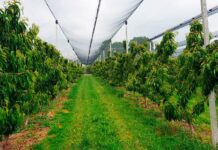 Historia krakowskiej ekofarmy ASBIO