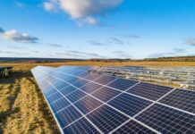 Biznes na straży natury: ciekawe fakty o Columbus Energy SA