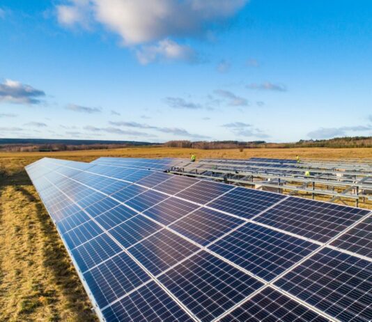 Бизнес на страже природы: интересные факты о компании Columbus Energy SA