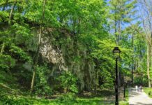 Park im. Wojciecha Bednarskiego – ulubione miejsce na spacery