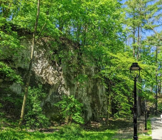 Park im. Wojciecha Bednarskiego – ulubione miejsce na spacery