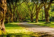 Malownicze parki Krakowa