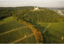 Winnica w podkrakowskiej Srebrnej Górze