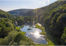 „Rózin” – legenda hodowli pstrąga w sercu Małopolski