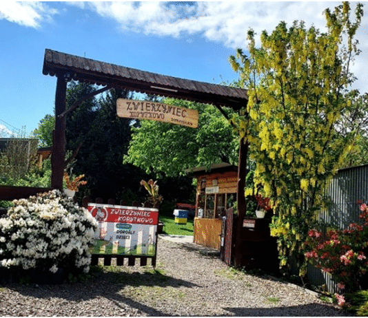 „Kopytkowo” – małe zoo z wielkim sercem