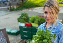 Projekt „JeDynie” – sto dyń i jeden pomysł