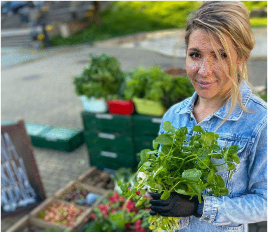 Projekt „JeDynie” – sto dyń i jeden pomysł