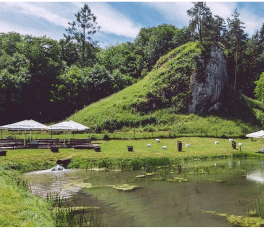 Ojcowska farma pstrągów – tradycja, która płynie z prądem