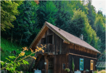 Młyny Ojcowskiego Parku – inżynieryjne arcydzieła pośród przyrody