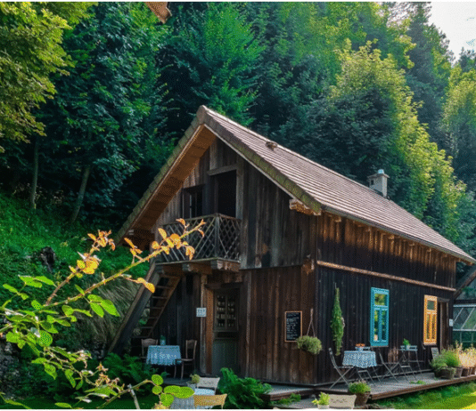 Мельницы Ойцовского парка – инженерные шедевры среди природы