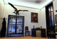 Tajemnice Krakowskiego Muzeum Zoologicznego: od tura do podziemnych magazynów