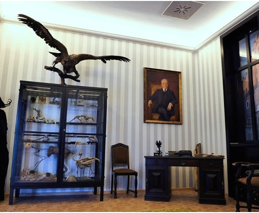 Tajemnice Krakowskiego Muzeum Zoologicznego: od tura do podziemnych magazynów