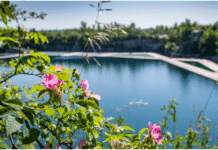 Park Zakrzówek – wyspa natury w środku miasta