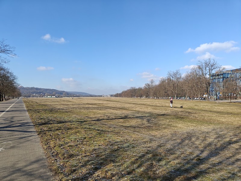 Блоня у Кракові