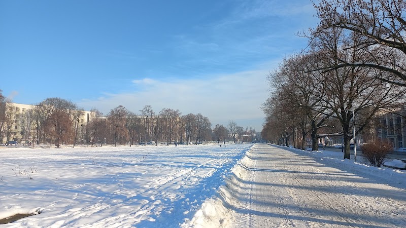 Блоня у Кракові