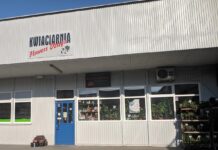 Flowers Design – kwiaciarnia Kraków – czerwone róże – dostawy kwiatów Kraków – poczta kwiatowa – wieńce pogrzebowe