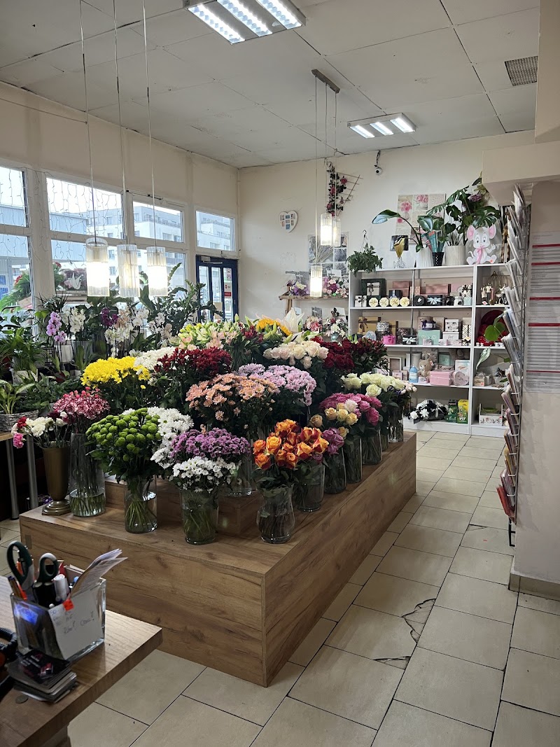 Flowers Design - kwiaciarnia Kraków - czerwone róże - dostawy kwiatów Kraków - poczta kwiatowa - wieńce pogrzebowe