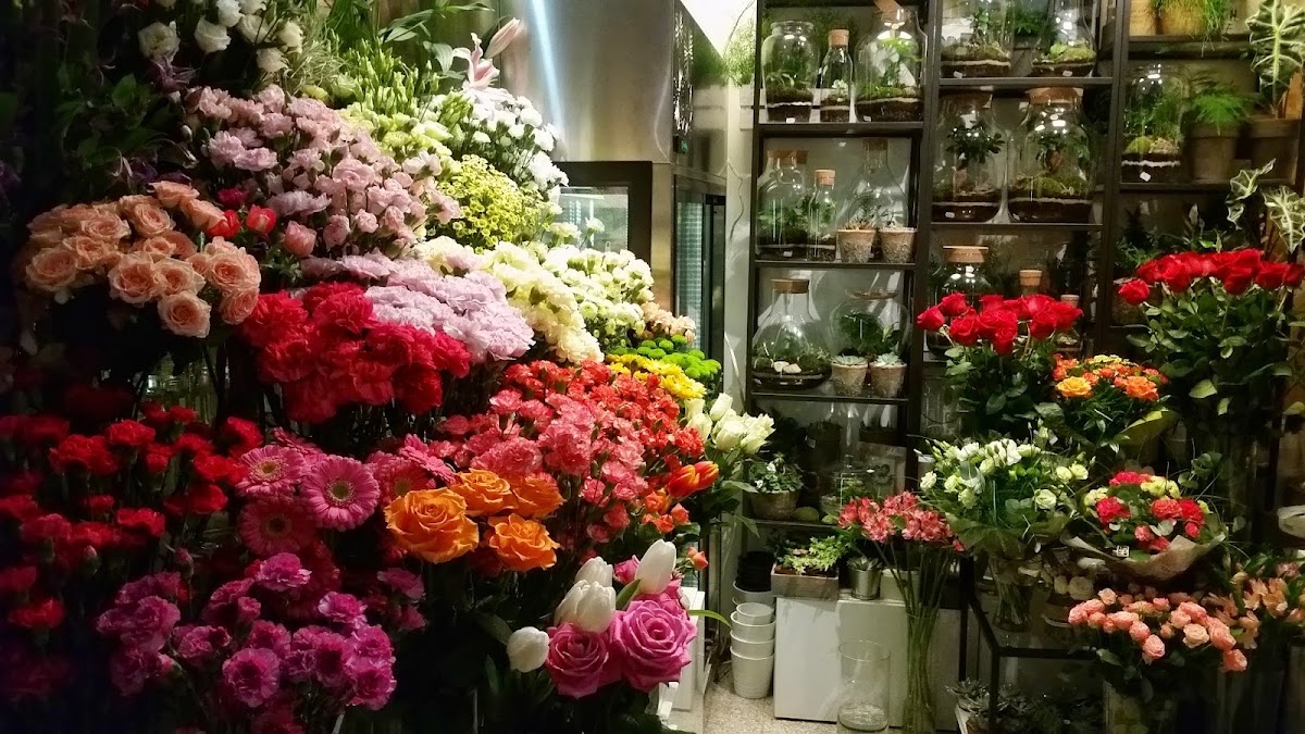 Kwiaciarnia Krokusik — Florist