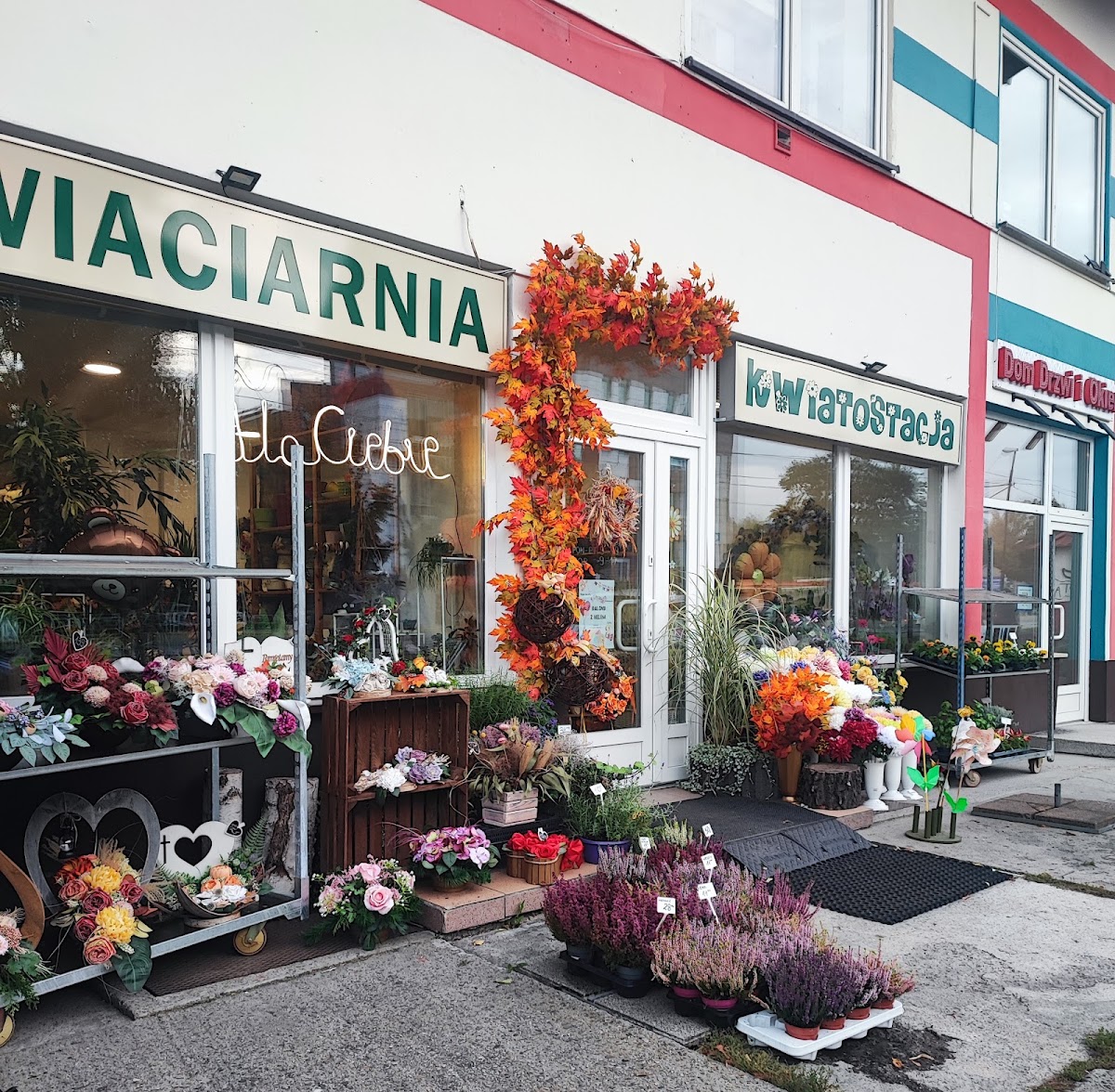 Kwiaciarnia Kwiatostacja — Florist
