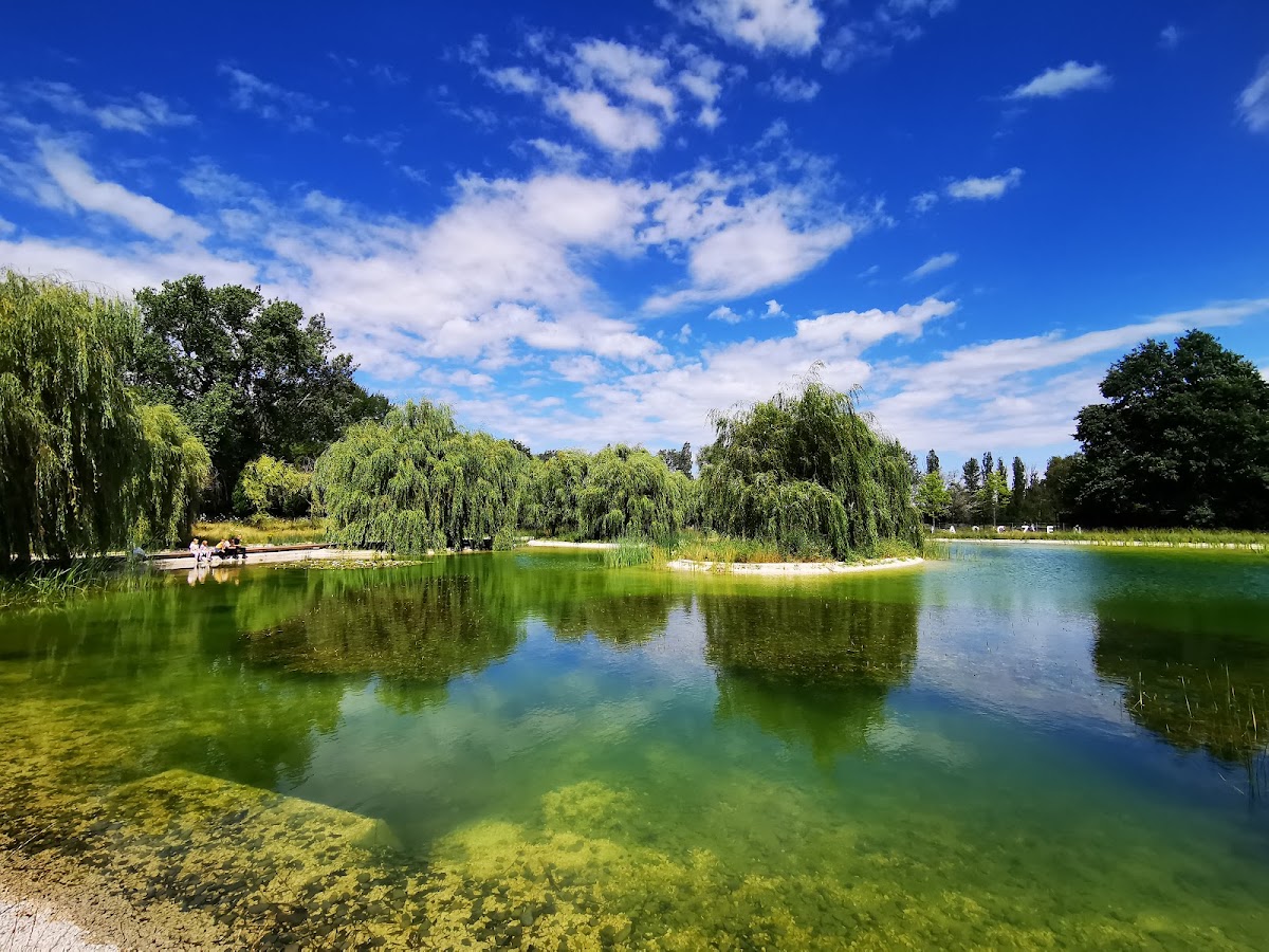 Парк польських льотчиків — Park