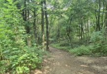 Парк Редута (Park Reduta)
