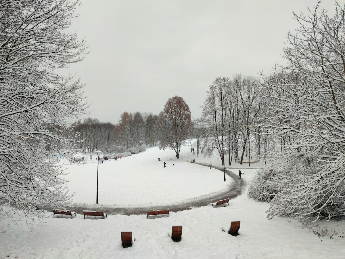 Парк Тисячоліття — Park