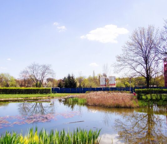 Парк Зачарованої Дрожки (Park Zaczarowanej Dorożki)