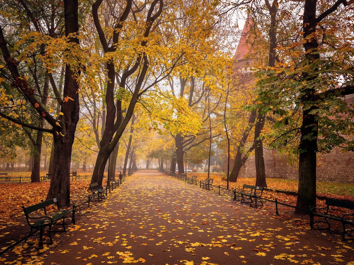 Краківські Планти — Park