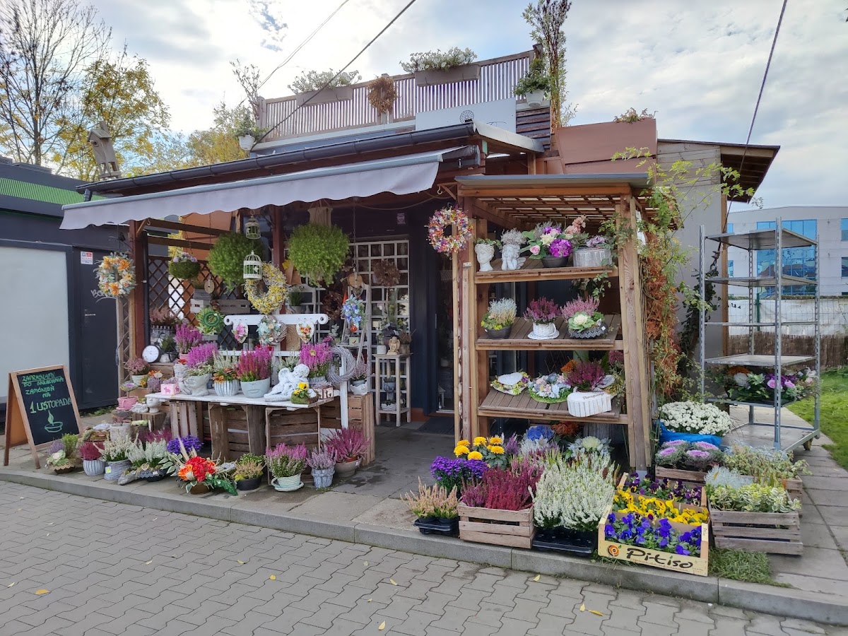 Taka Mała Kwiaciarnia Joanna Teper-Truty — Florist